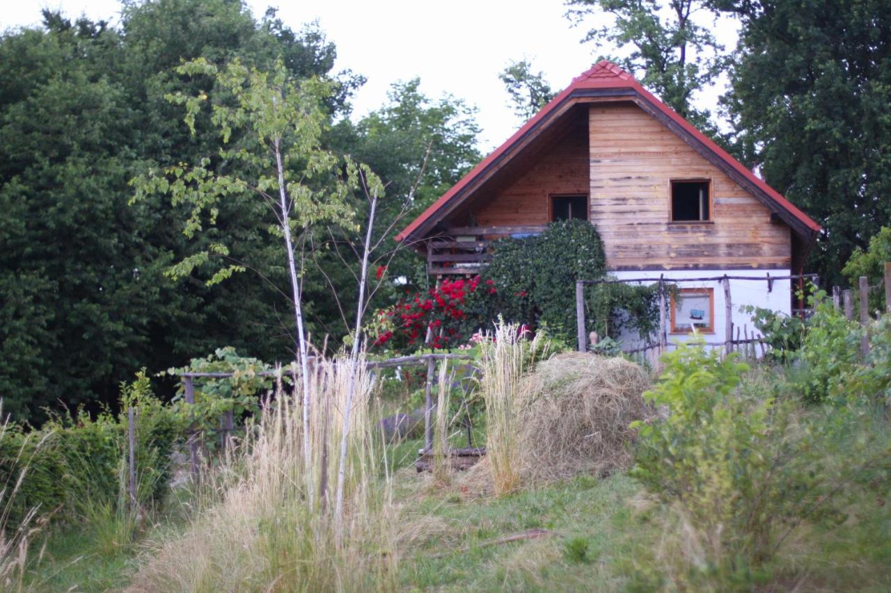 Holiday Home Trnavsko Bogojina Exterior foto